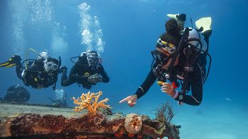 PADI Divemaster Course