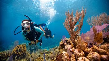 PADI Open Water Diver Course